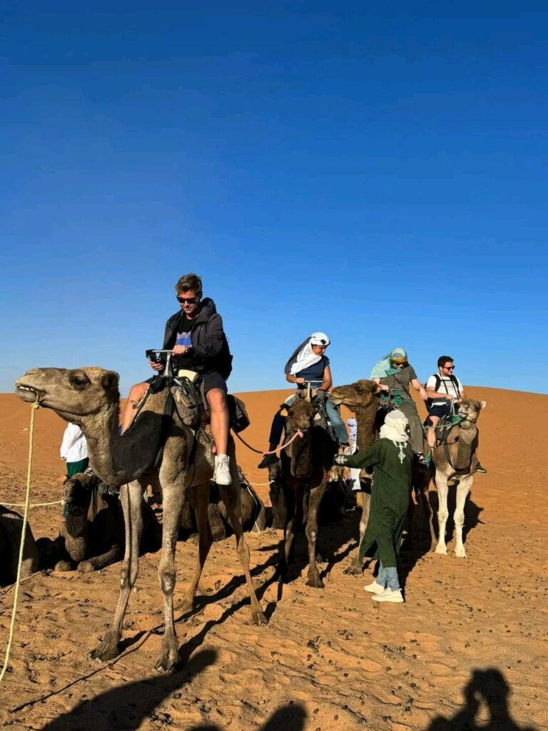 Marrakech Safari (1)