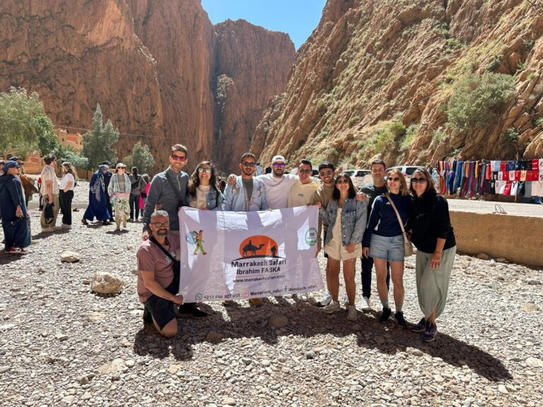 WhatsApp Image 2025-04-29 at 16.24.22